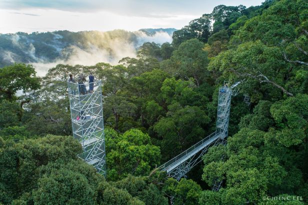 12 Canopy Walway cld1708103 - Copy.jpg