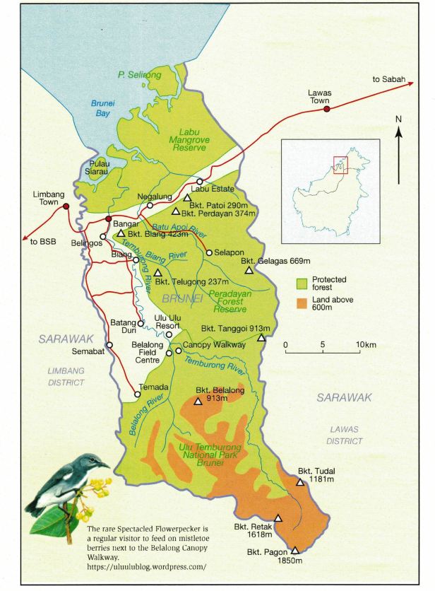 Brunei Temburong.jpg